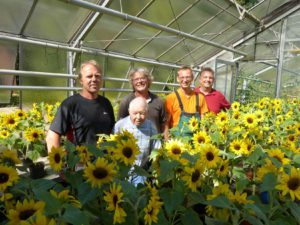 Sonnenblumenfest_Werther_2016_1 Dekorieren Werther mit Sonnenblumen (v.l.): Jörg Freese vom städtischen Bauhof, Manfred Heywinkel, Friedrich Bremer, Mirko Bräunlein (alle Stiftung) und Stefan Meier vom Fachbereich für Service, Schule, Sport und Kultur.