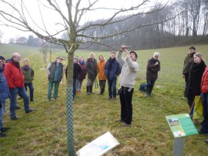 Obstbaumschnitt Helge Jung 2017