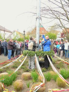 Maibaum Werther 2017