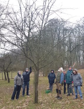 Baumschnittkurs 2018