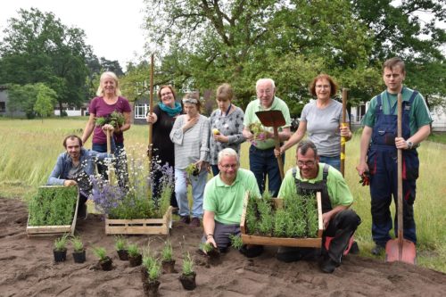 Projekt Bienenleben 1