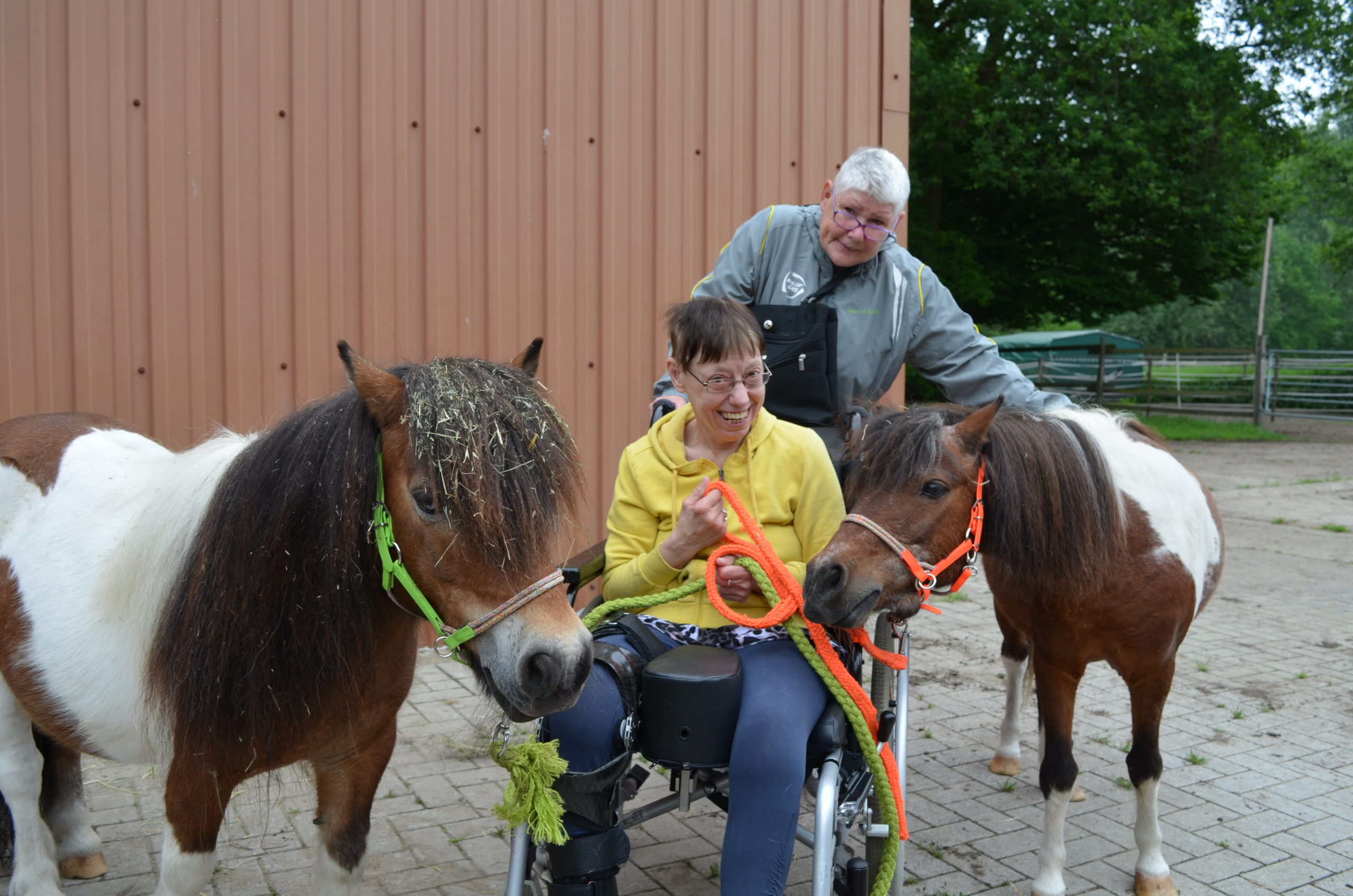 Zwei erwachsene Frauen erleben tiergestützte Therapie mit zwei Ponys